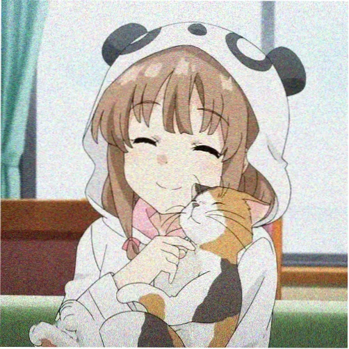 资深番剧迷头像